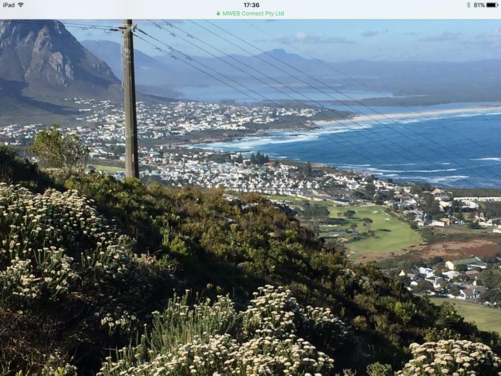 Apartmán 77 On 7Th Street Hermanus Exteriér fotografie